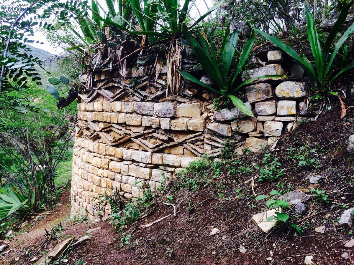 Ekokuelap Lodge Y Turismo Alternativo Nuevo Tingo Exterior foto